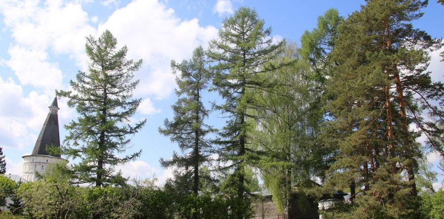 Воскресная проповедь 26 мая 2019 года.