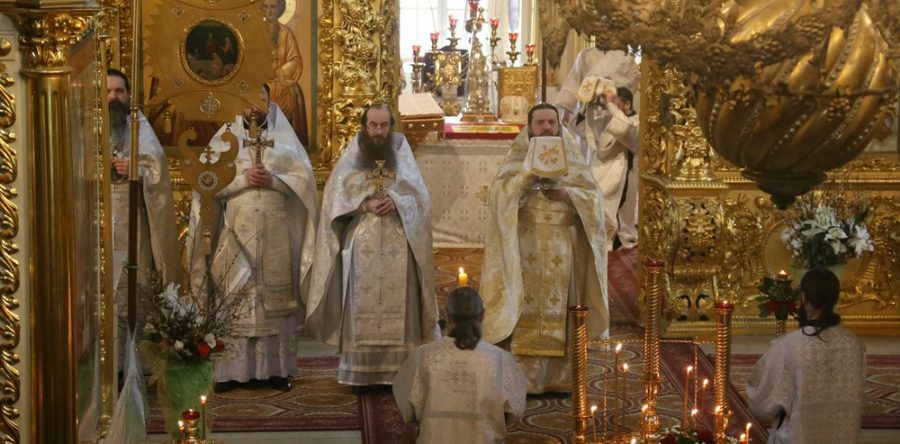 Воскресная проповедь 12 апреля 2020 года.