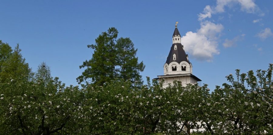 Новые экскурсии по Обители