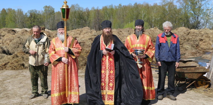 Освящение коровника