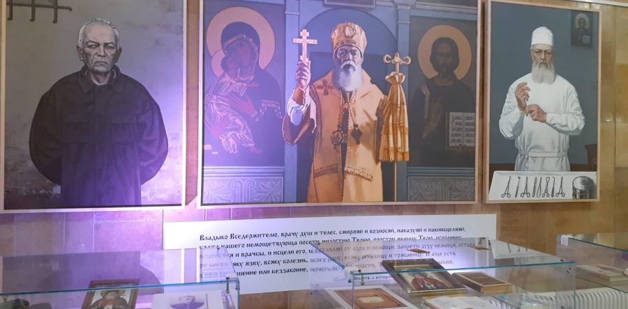 Визит в госпиталь Вишневского